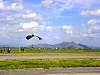 dsc03202.jpg