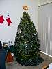 DSC06946.JPG