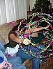 DSC07239.JPG