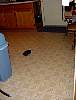 DSC07276.JPG