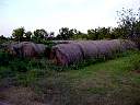 DSC01752.JPG