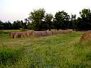 DSC01757.JPG