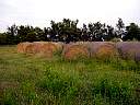 DSC01760.JPG