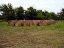 DSC01761.JPG