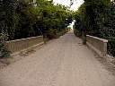 DSC01768.JPG