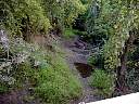 DSC01772.JPG