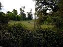 DSC01774.JPG