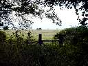 DSC01779.JPG