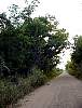 DSC01780.JPG