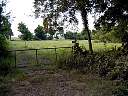 DSC01781.JPG