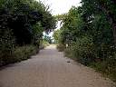 DSC01787.JPG