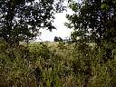 DSC01796.JPG