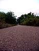 DSC01806.JPG