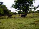 DSC01821.JPG