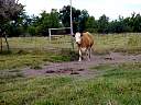 DSC01826.JPG