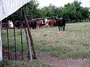 DSC01832.JPG