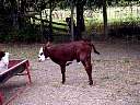 DSC01835.JPG