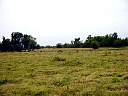 DSC01842.JPG