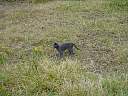 DSC01844.JPG