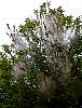 DSC01882.JPG