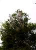 DSC01883.JPG