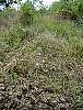 DSC01886.JPG