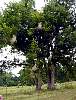 DSC01890.JPG