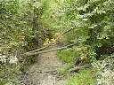 DSC01896.JPG