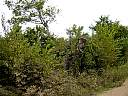DSC01908.JPG