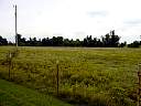 DSC01910.JPG