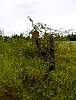DSC01913.JPG