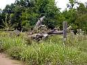 DSC01917.JPG