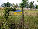 DSC01921.JPG