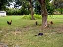 DSC01927.JPG