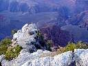 DSC01628.JPG