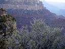 DSC01640.JPG