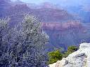 DSC01641.JPG