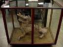 DSC02825.JPG