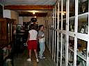 DSC02883.JPG