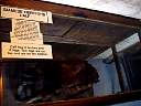 DSC02896.JPG