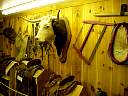 DSC02906.JPG