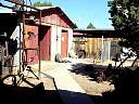 DSC02954.JPG
