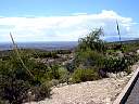 DSC03445.JPG