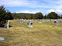 DSC02215.JPG