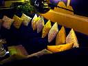 DSC02450.JPG