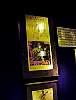 DSC02546.JPG