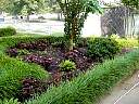 DSC02604.JPG