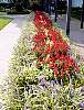 DSC02633.JPG