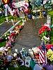 DSC02648.JPG