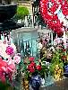 DSC02658.JPG